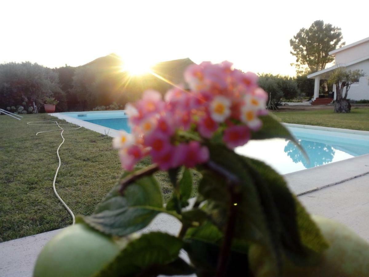 Adobe Typical Cottage Alpalhao  外观 照片
